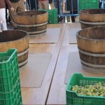 Imagen de la Feria Gastronómica de Orxeta