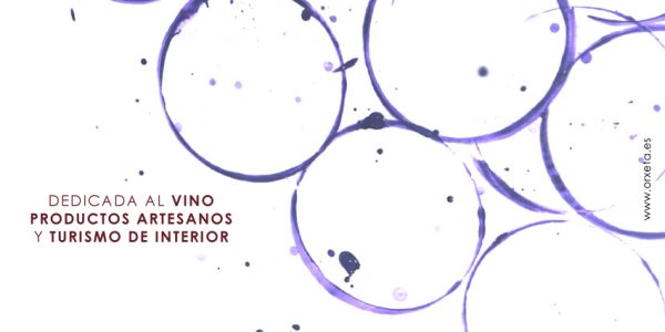 Clausura de la VI Fira Gastronòmica